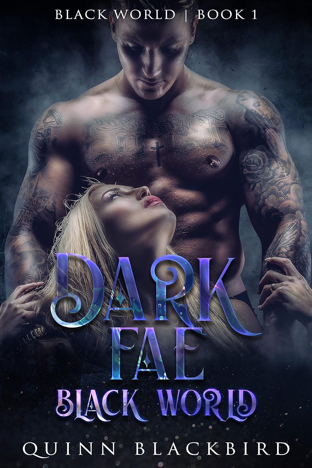 Dark Fae Black World (Books 1 & 2) by Quinn Blackbird