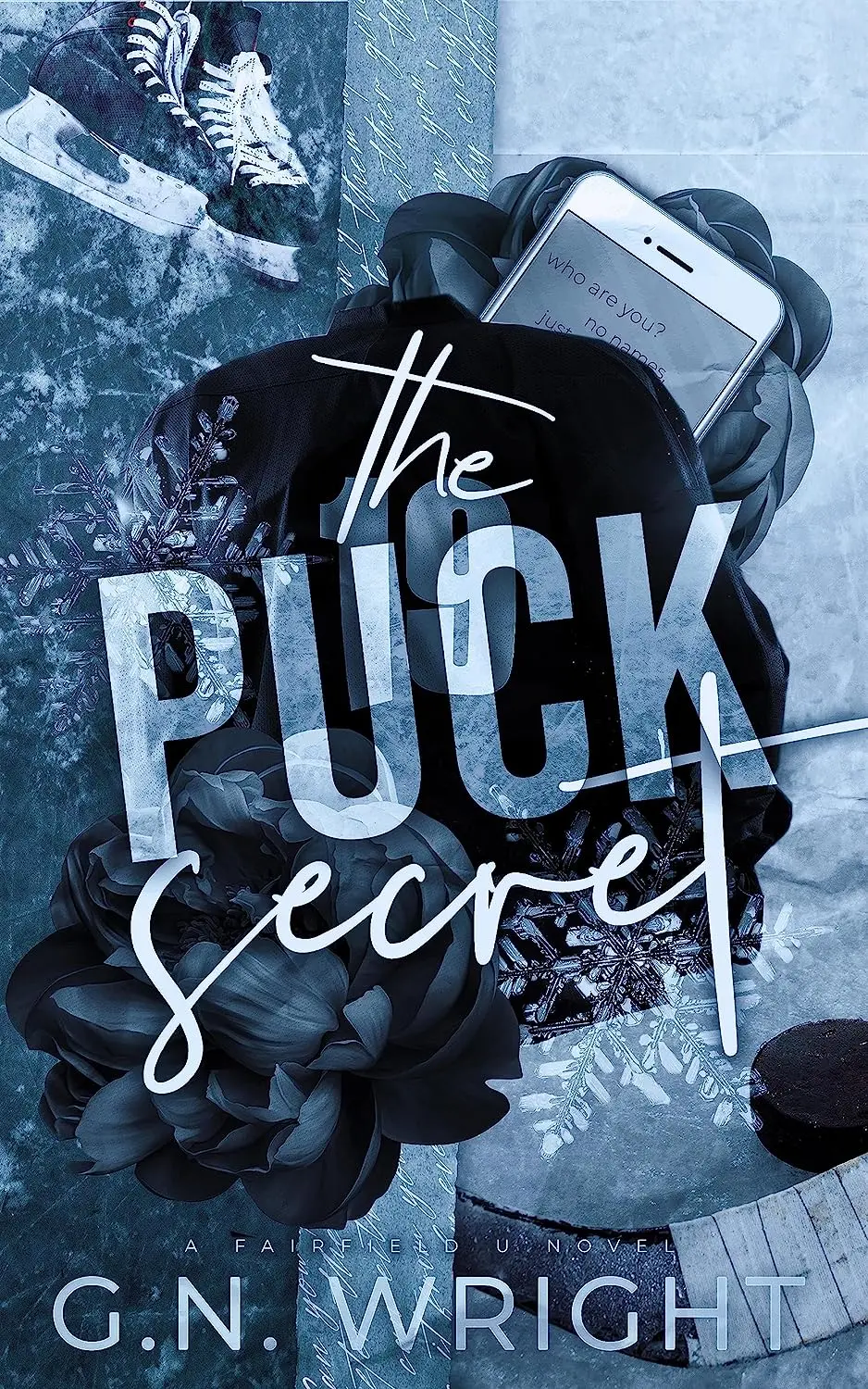 The Puck Secret by G.N. Wright