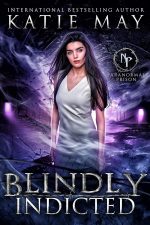 Blindly Indicted (Out of Sight Book 1)